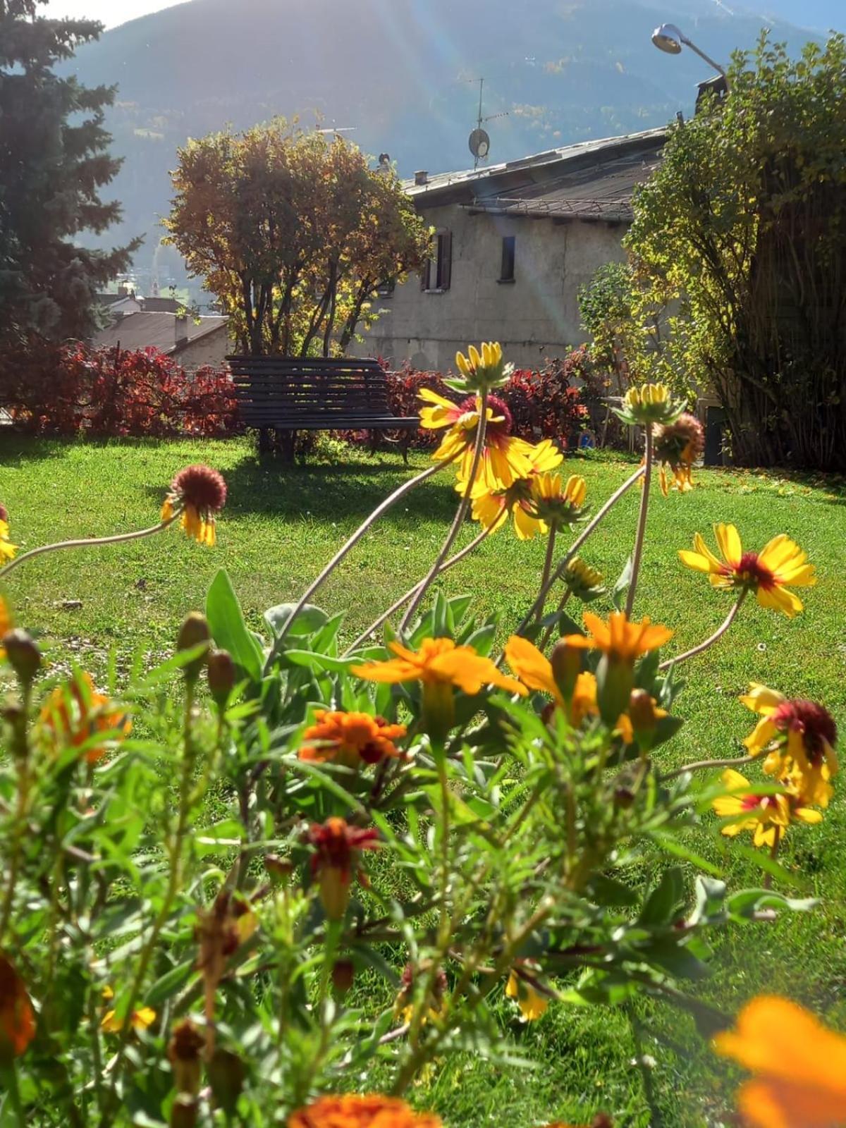 Appartamenti Via Monte Braulio 19 Bormio Dış mekan fotoğraf